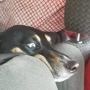 Meet your Posher, Lynnette